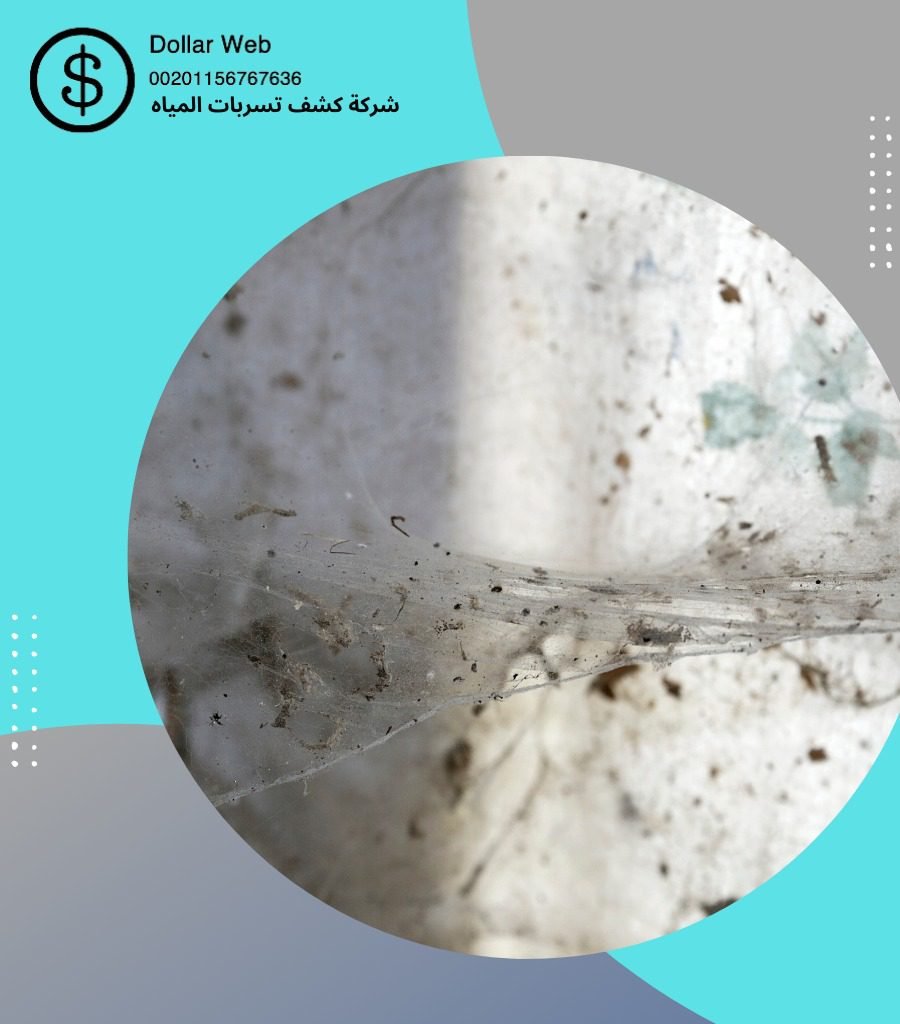 الاسئلة الشائعة